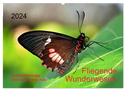 Fliegende Wunderwesen. Schmetterlinge weltweit, ganz nah (Wandkalender 2024 DIN A2 quer), CALVENDO Monatskalender