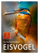 Schillernder Eisvogel (Wandkalender 2024 DIN A2 hoch), CALVENDO Monatskalender