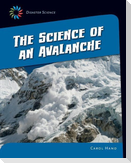 The Science of an Avalanche