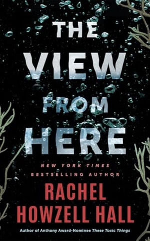 Howzell Hall, Rachel. The View from Here - A Thriller. Amazon Publishing, 2026.