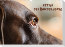Attila, Der Hundekönig (Wandkalender 2022 DIN A3 quer)