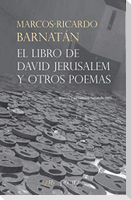 El libro de David Jerusalem