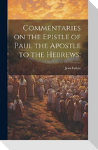 Commentaries on the Epistle of Paul the Apostle to the Hebrews;