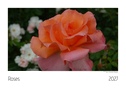 Roses Kalender 2027