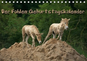Berg, Martina. Der Fohlen-Geburtstagskalender (Tischkalender immerwährend DIN A5 quer) - Lebensfreude pur - Pferdekinder (Tischkalender, 14 Seiten). Calvendo, 2013.
