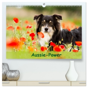 Mayer, Andrea. Aussie-Power (hochwertiger Premium Wandkalender 2024 DIN A2 quer), Kunstdruck in Hochglanz - Powerhund Australian Shepherd. Calvendo Verlag, 2023.