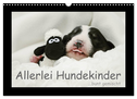 Allerlei Hundekinder (Wandkalender 2024 DIN A3 quer), CALVENDO Monatskalender
