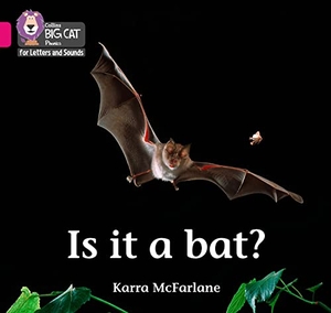 Mcfarlane, Karra. Is it a Bat? - Band 01b/Pink B. HarperCollins Publishers, 2019.