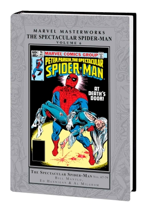 Mantlo, Bill / Tom Defalco. Marvel Masterworks: The Spectacular Spider-Man Vol. 6. Marvel Comics, 2023.