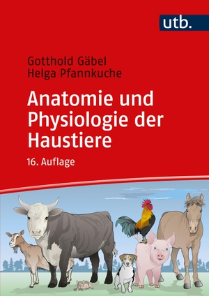 Gäbel, Gotthold / Loeffler, Klaus et al. Anatomie und Physiologie der Haustiere. UTB GmbH, 2024.