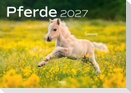 Pferde Kalender 2027 Wandkalender