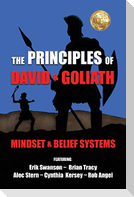THE PRINCIPLES OF DAVID AND GOLIATH VOLUME 1