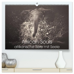 Kulpa, Manuela. African Souls - afrikanische Tiere mit Seele (hochwertiger Premium Wandkalender 2024 DIN A2 quer), Kunstdruck in Hochglanz - Zauberhafte Tierseelen der afrikanischen Natur. Calvendo, 2023.