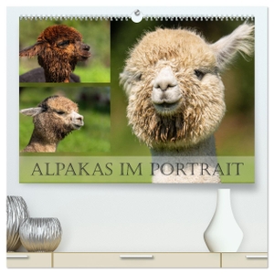 Scheurer, Monika. Alpakas im Portrait (hochwertiger Premium Wandkalender 2024 DIN A2 quer), Kunstdruck in Hochglanz - Alpakas sind wertvolle Wolllieferanten. Calvendo, 2023.
