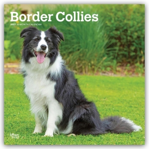 Publishers, Browntrout. Border Collies 2027 - 16-Monatskalender - Original BrownTrout-Kalender [Mehrsprachig] [Kalender]. Browntrout Verlags GmbH, 2026.