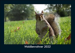 Tobias Becker. Waldbewohner 2022 Fotokalender DIN A5 - Monatskalender mit Bild-Motiven von Haustieren, Bauernhof, wilden Tieren und Raubtieren. Vero Kalender, 2021.