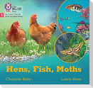 Hens, Fish, Moths
