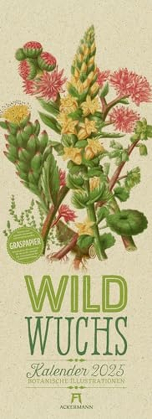 Pratt, Anne / Ackermann Kunstverlag. Wildwuchs - Botanische Illustrationen - Graspapier-Kalender 2025. Ackermann Kunstverlag, 2024.
