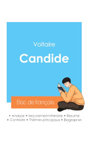 Réussir son Bac de français 2024 : Analyse de Candide de Voltaire