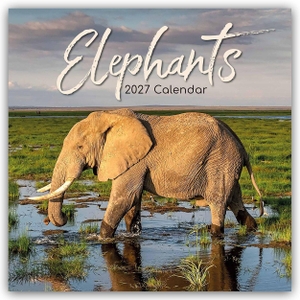 Gifted, The. Elephants - Elefanten 2027 - 16-Monatskalender - Original The Gifted Stationery Co. Ltd [Mehrsprachig] [Kalender]. Browntrout Verlags GmbH, 2026.