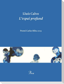 L'espai profund