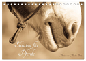 Shiatsu für Pferde - Photos von Meike Bölts (Tischkalender 2024 DIN A5 quer), CALVENDO Monatskalender
