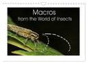 Macros from the World of Insects (Wall Calendar 2024 DIN A4 landscape), CALVENDO 12 Month Wall Calendar