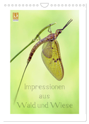 Impressionen aus Wald und Wiese (Wandkalender 2025 DIN A4 hoch), CALVENDO Monatskalender