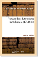 Voyage Dans l'Amérique Méridionale Tome 7, Partie 3