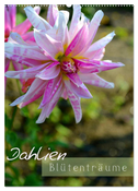 Dahlien - Blütenträume (Wandkalender 2024 DIN A2 hoch), CALVENDO Monatskalender