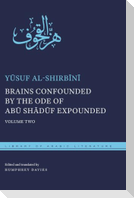 Brains Confounded by the Ode of Abū Shādūf Expounded