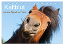 Kaltblut - schwere Pferde mit Herz (Tischkalender 2024 DIN A5 quer), CALVENDO Monatskalender