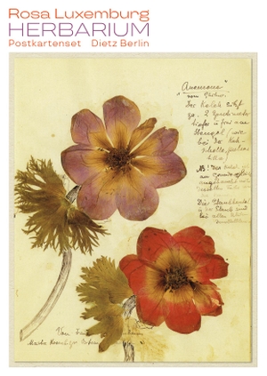 Luxemburg, Rosa. Herbarium Postkartenset - 10 Motive aus Rosa Luxemburgs Herbarium. Dietz Verlag Berlin GmbH, 2017.