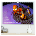 Anemonenfische - Streitbare Gesellen (hochwertiger Premium Wandkalender 2025 DIN A2 quer), Kunstdruck in Hochglanz