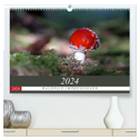 Waldpilz-Impressionen (hochwertiger Premium Wandkalender 2024 DIN A2 quer), Kunstdruck in Hochglanz