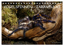 Vogelspinnen - Tarantulas (Tischkalender 2024 DIN A5 quer), CALVENDO Monatskalender