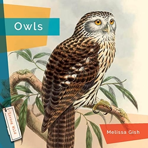 Gish, Melissa. Owls. Creative Company, 2023.