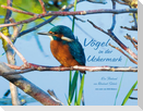 Vögel in der Uckermark