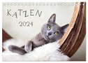 Katzen 2024 (Tischkalender 2024 DIN A5 quer), CALVENDO Monatskalender