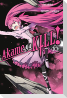 Akame Ga Kill!, Volume 10
