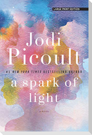 A Spark of Light