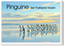 Pinguine der Falkland Inseln (Tischkalender 2024 DIN A5 quer), CALVENDO Monatskalender