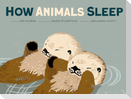 How Animals Sleep