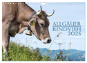 Allgäuer Rindvieh 2025 (Wandkalender 2025 DIN A4 quer), CALVENDO Monatskalender