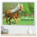 Haflinger: Die blonden Pferde von der Alm (hochwertiger Premium Wandkalender 2024 DIN A2 quer), Kunstdruck in Hochglanz