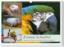 Krumm Schnäbel - Papageien, Sittiche und andere Krumm Schnäbel (Wandkalender 2025 DIN A3 quer), CALVENDO Monatskalender