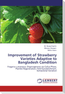 Improvement of Strawberry Varieties Adaptive to Bangladesh Condition