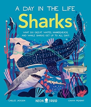 Jackson, Carlee / Neon Squid. Sharks (A Day in the Life) - What Do Great Whites, Hammerheads, and Whale Sharks Get Up To All Day?. Priddy Books, 2022.