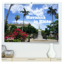 Havanna in Blüte (hochwertiger Premium Wandkalender 2024 DIN A2 quer), Kunstdruck in Hochglanz