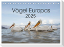 Vögel Europas 2025 (Tischkalender 2025 DIN A5 quer), CALVENDO Monatskalender
